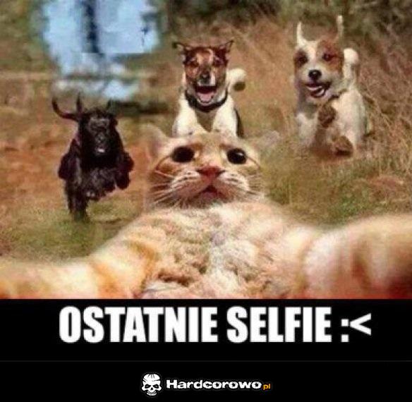 Ostatnie selfie - 1