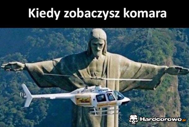 Komarek - 1