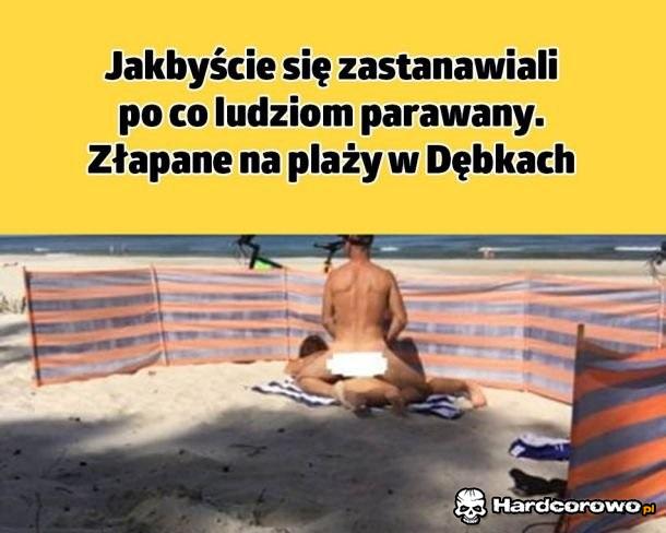 Zagadka rozwiązana - 1