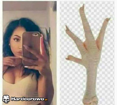 Nóżka kurczaka  - 1