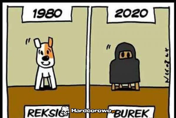 Tak to widzę - 1