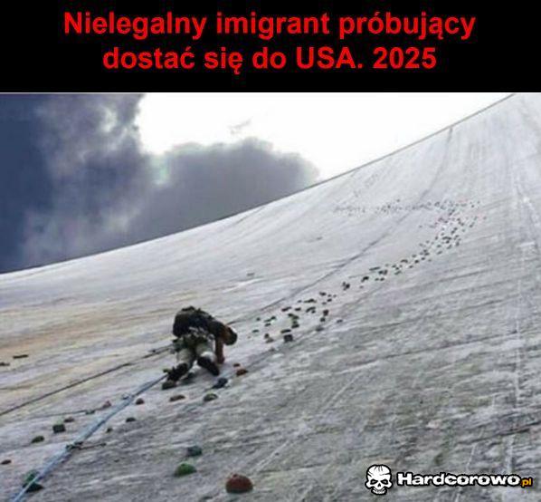 Nielegalny imigrant - 1