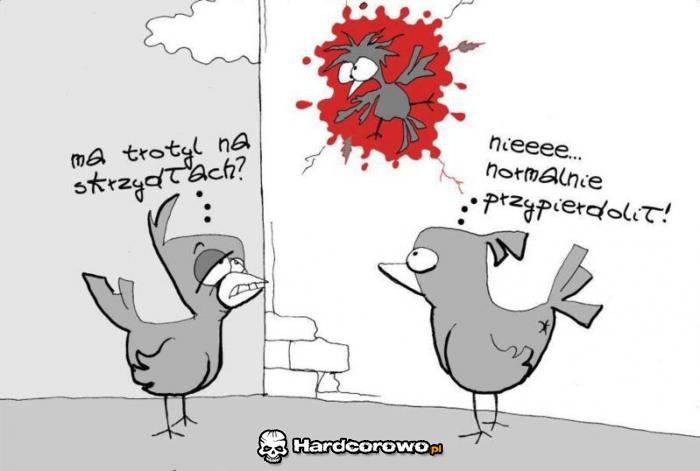 Trotyl - 1