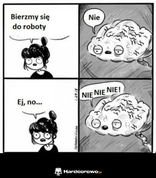 Mój mózg - 1