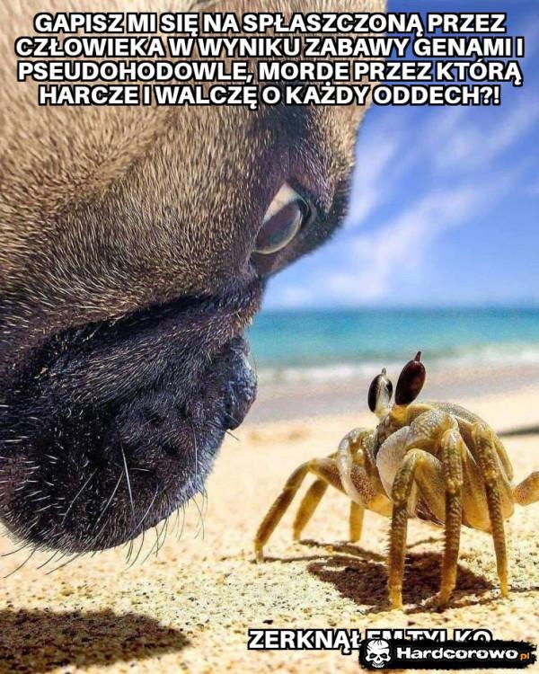  - 1