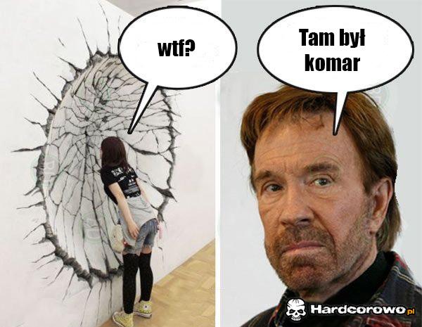 Komar  - 1