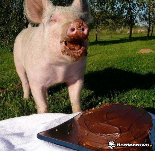 Świnka lubi tort - 1