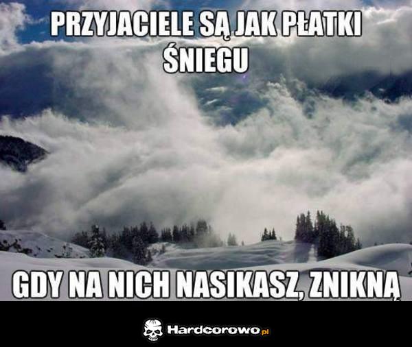 Znajomi - 1