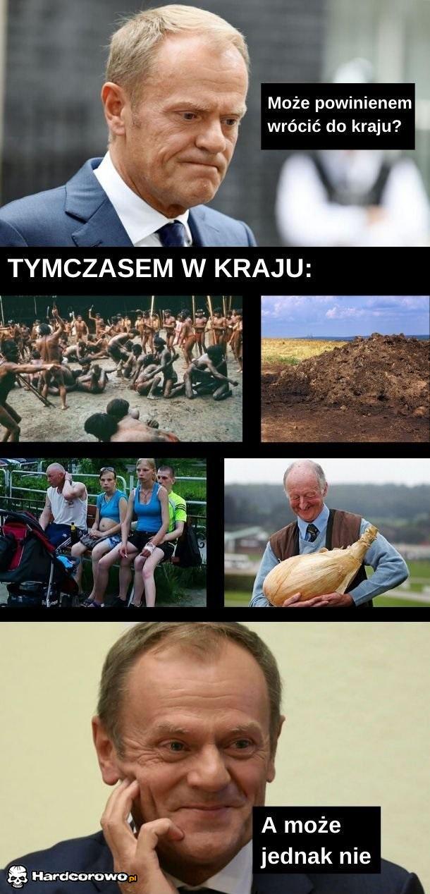 Gdyby mnie było stać na wyjazd, też bym nie wracał - 1