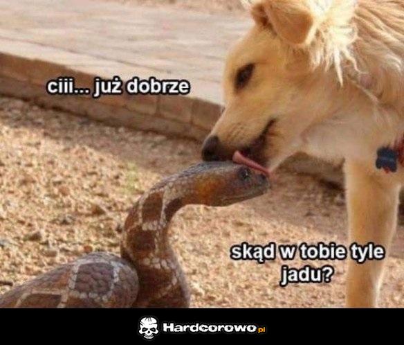 Już dobrze - 1