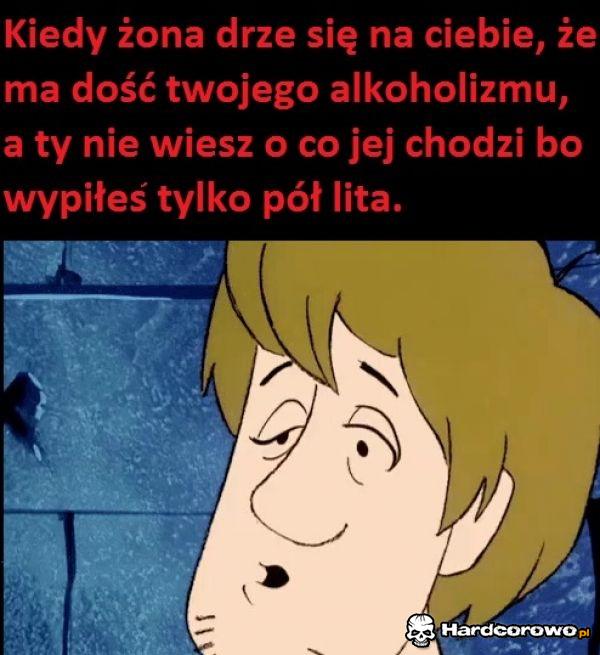Alkoholizm - 1