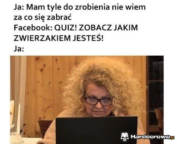 Tyle rzeczy do zrobienia - 1