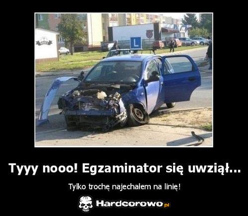 Egzamin - 1