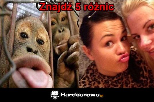 Znajdź 5 różnic - 1