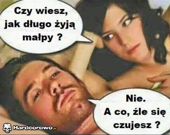 Co tam kochanie? - 1