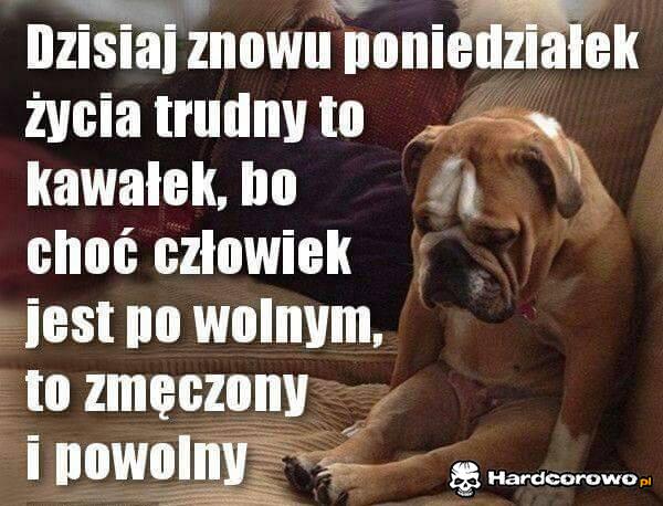 Poniedziałek - 1