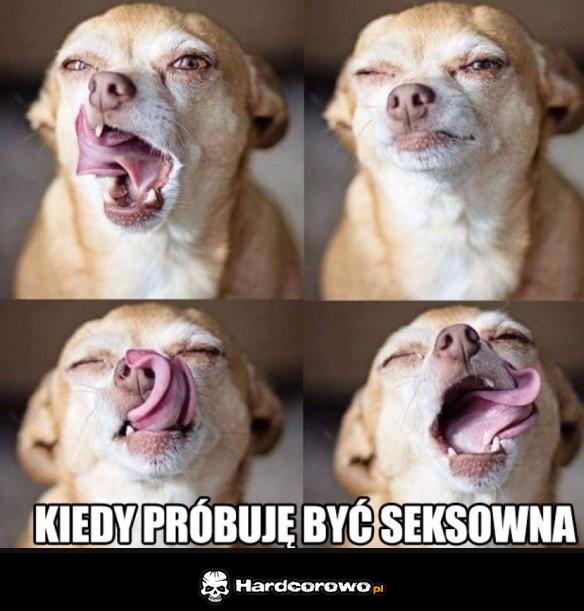 Prawdziwy talent - 1