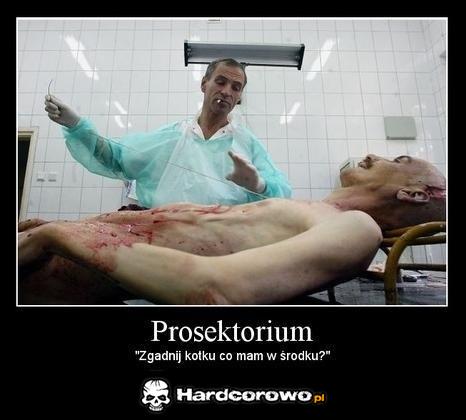 Prosektorium  - 1