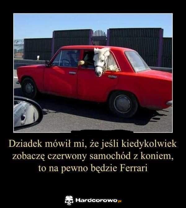 Czerwony samochód z koniem  - 1