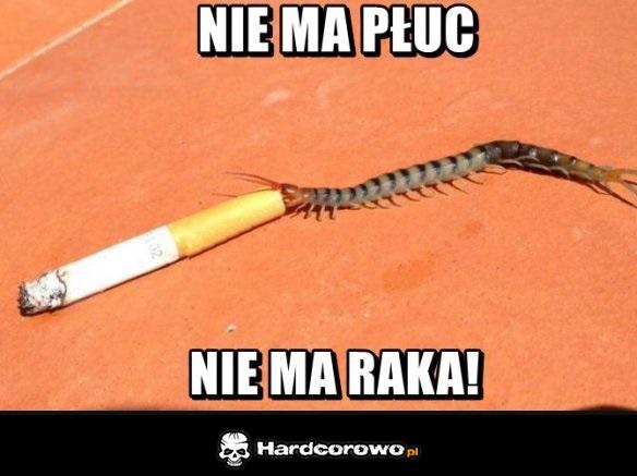 Nie ma płuc - 1