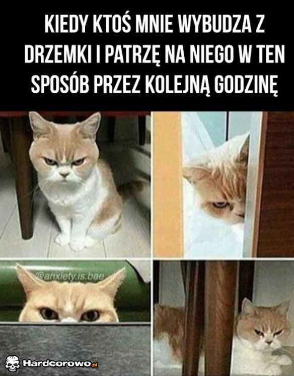 Wybudzony - 1