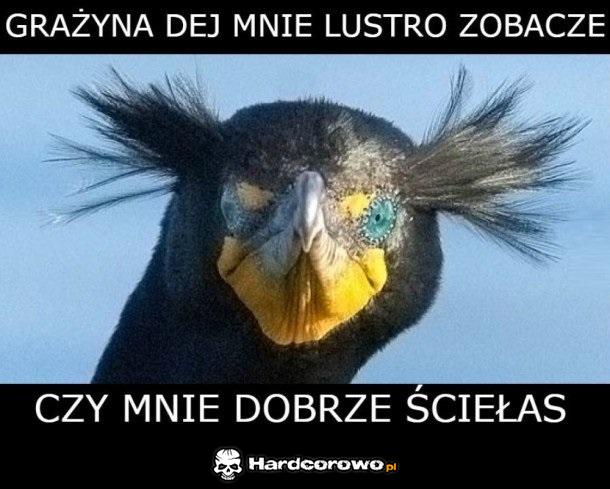 Obcięty - 1