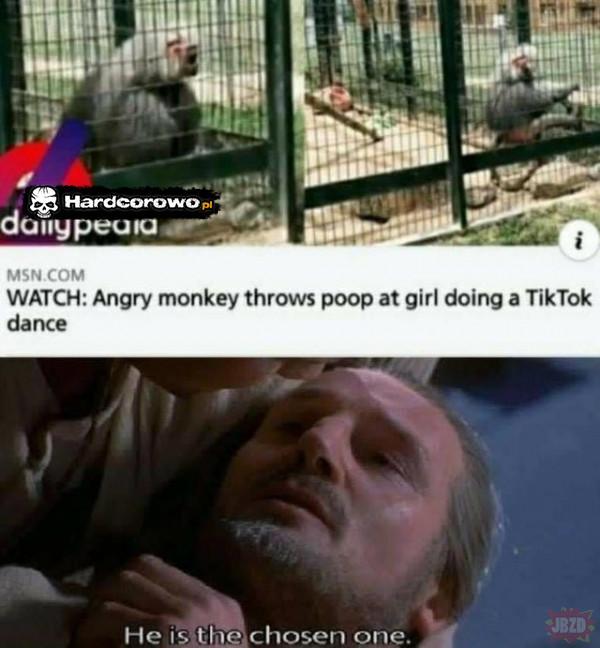  - 1