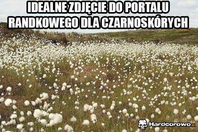 Idealne zdjęcie do portalu - 1