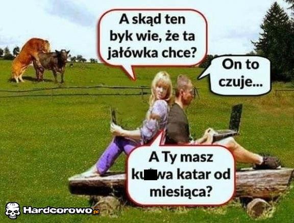 Ochota na małe co nieco - 1