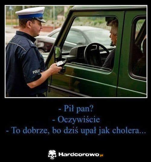 Troskliwy policjant - 1