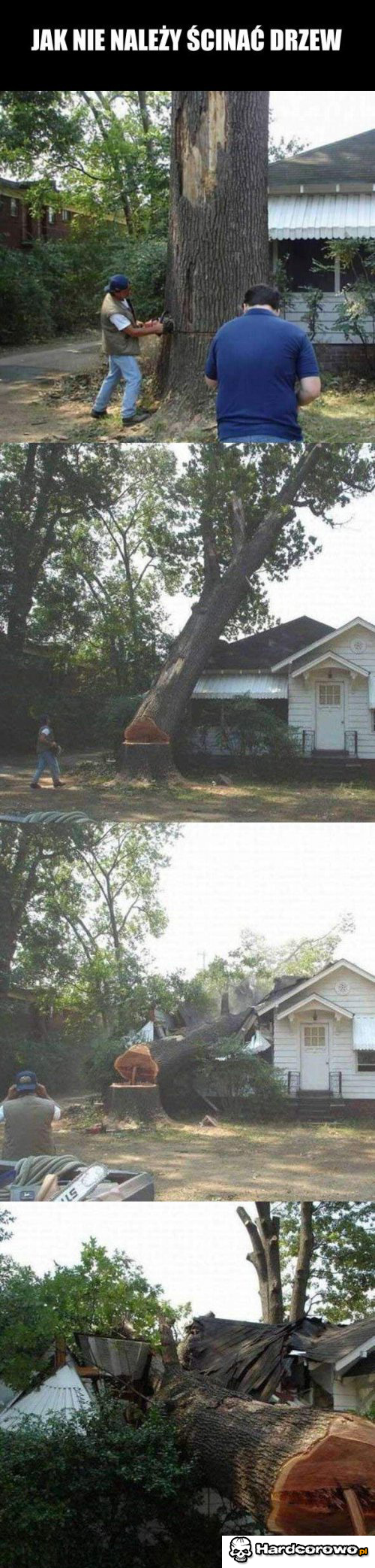 Ścinanie drzewa - 1