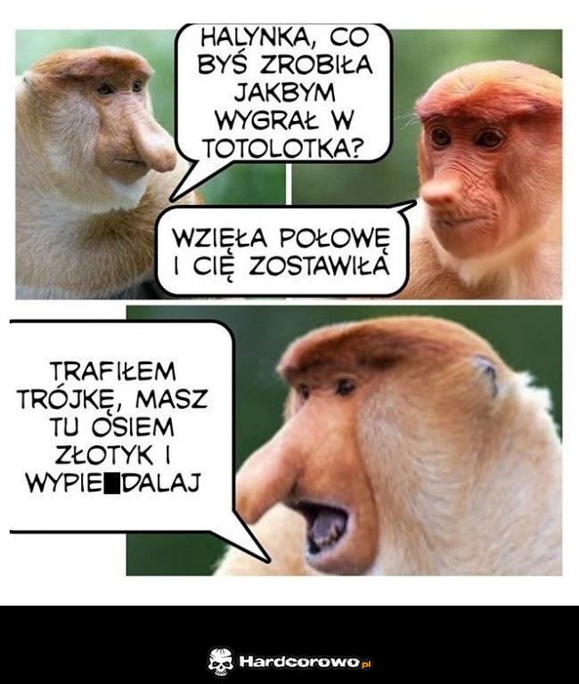 Gdyby Janusz wygrał w Totolotka - 1