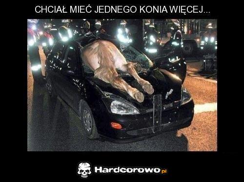 O jeden więcej - 1