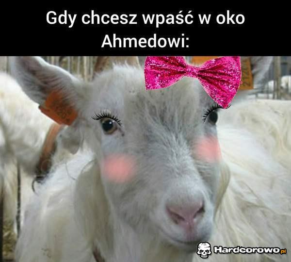 Gdy chcesz się mu podobać - 1
