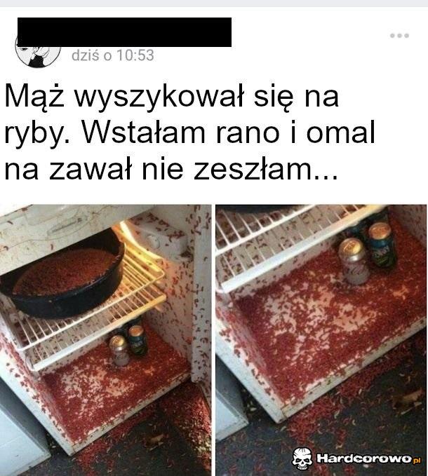 Robactwo na przynętę - fuj fuj fuj - 1