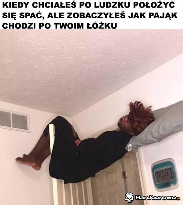 Z dala od pająka - 1