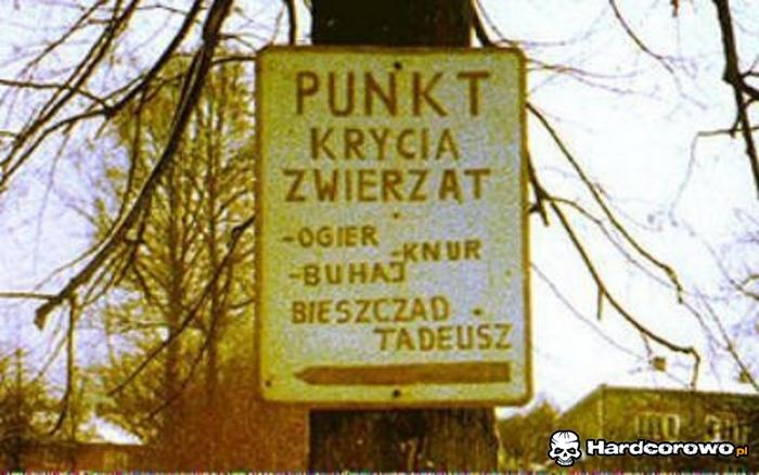 Punkt krycia zwierząt - 1