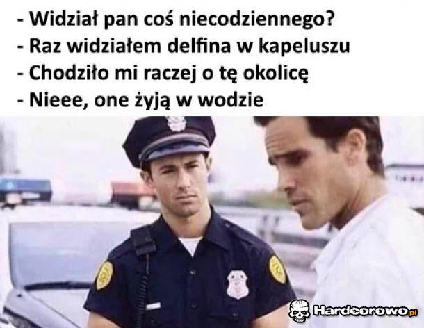 Coś dziwnego - 1