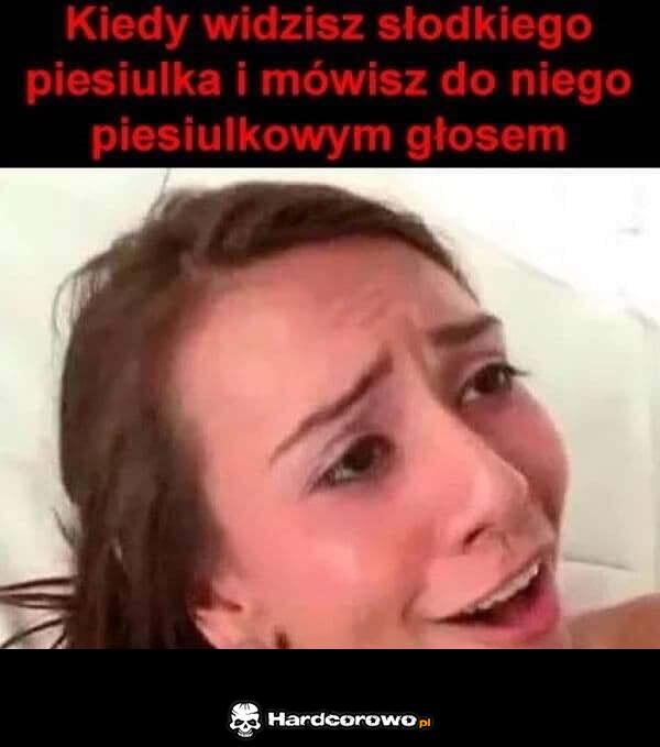 Słodki piesek - 1