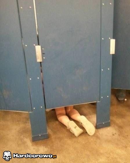 Pawik czy lodzik? - 1