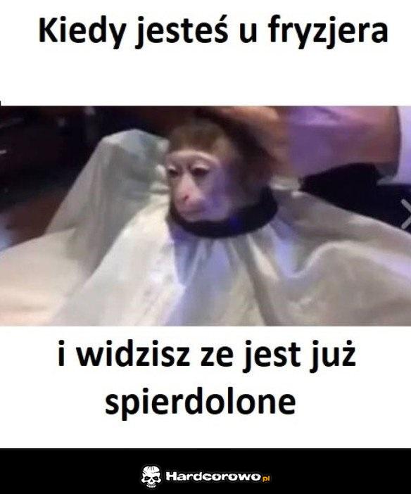 Kiedy jesteś u fryzjera - 1