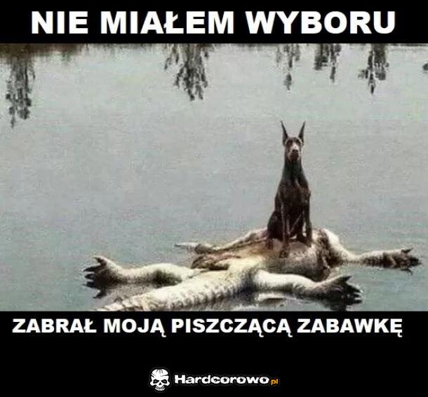 Nie zadzieraj z piesełem - 1