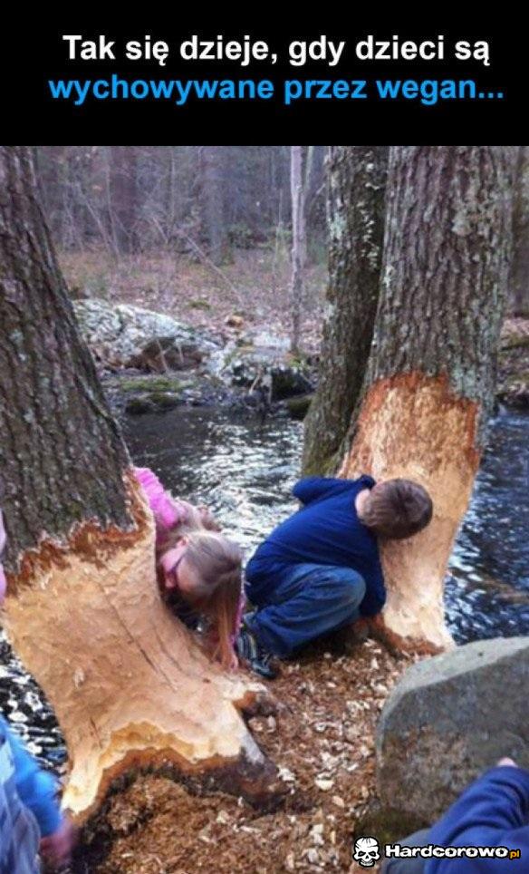 Dzieci Wegan - 1