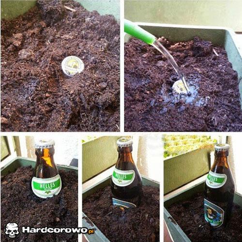 Żeby to było takie proste - 1