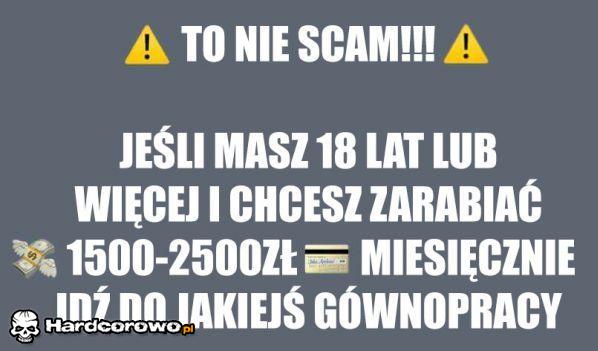 To nie scam! - 1