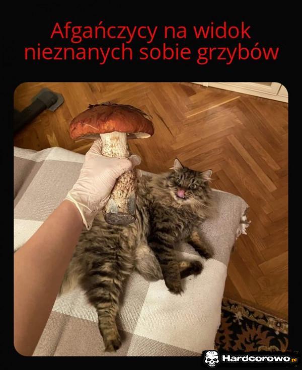  - 1