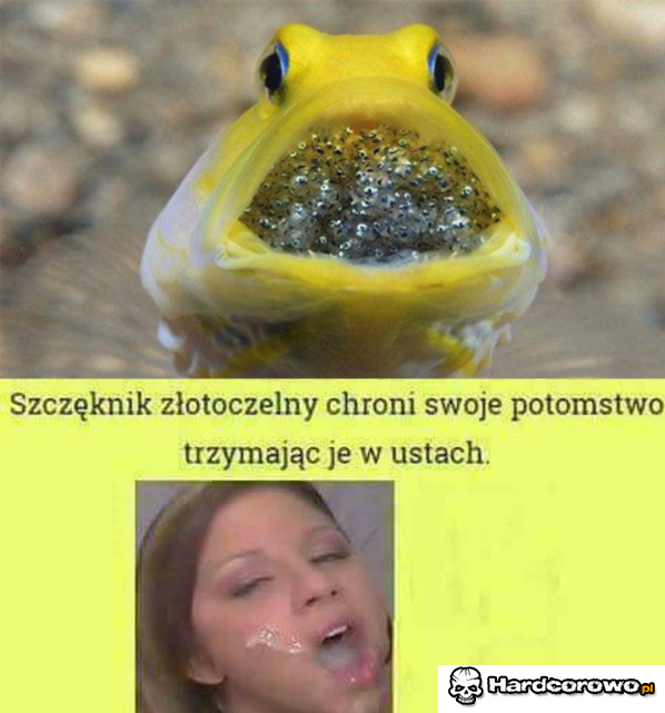 Ochrona potomstwa - 1