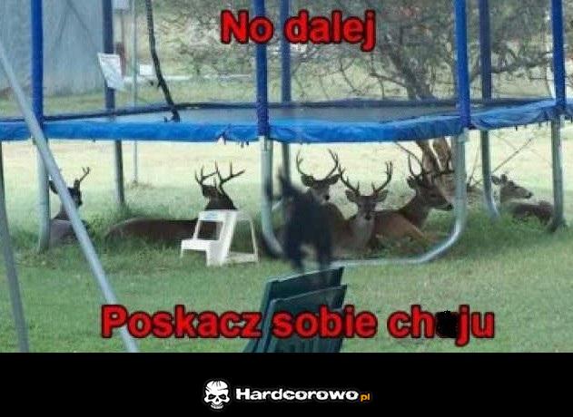 No dalej - 1
