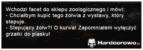 Wchodzi facet do sklepu zoologicznego - 1