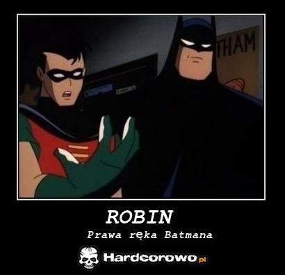 Robin - 1
